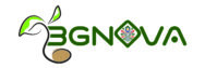 BGNova